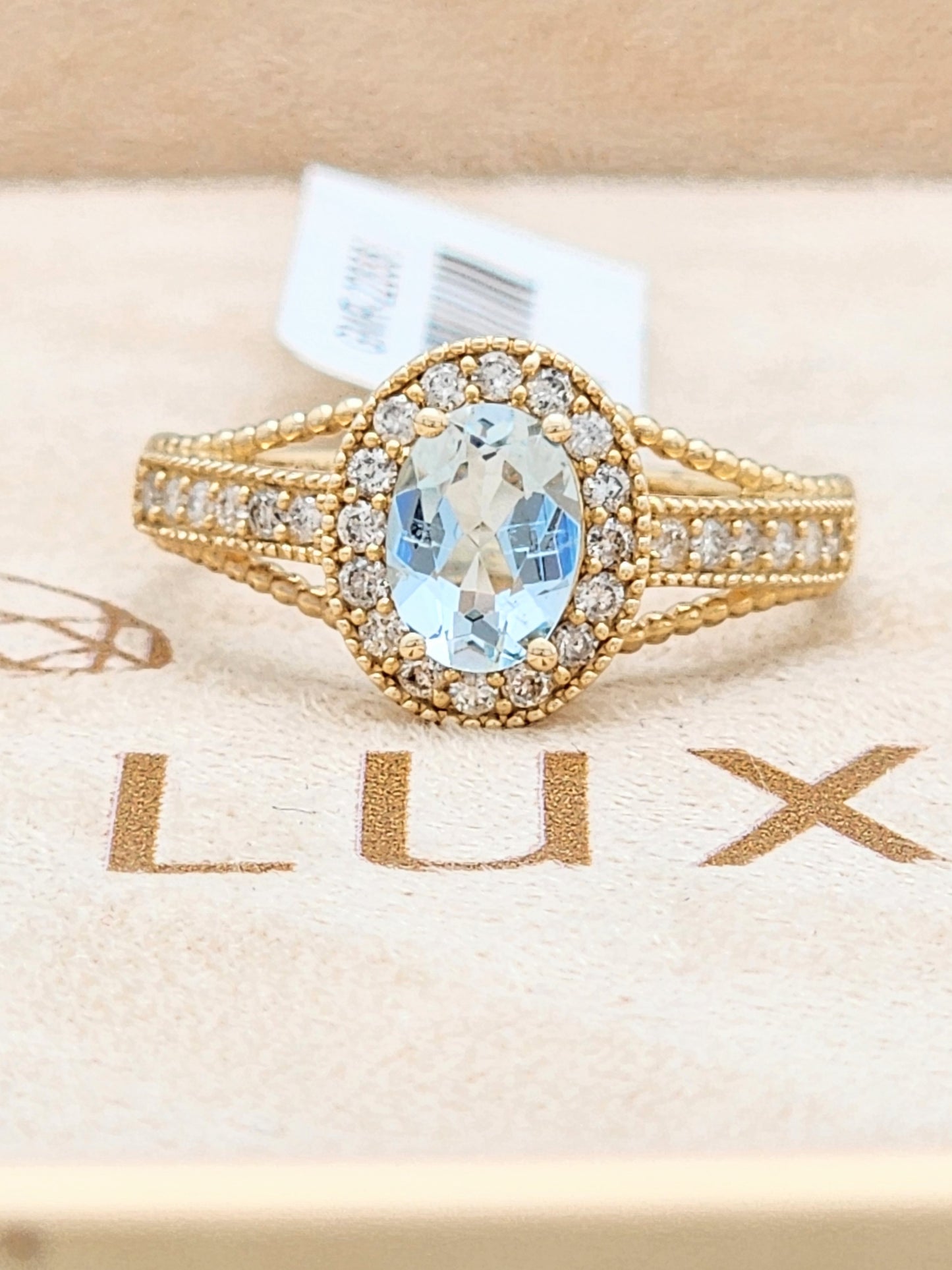 0.98 Total Carat Aquamarine and Diamond Halo Ring in 14KYG!