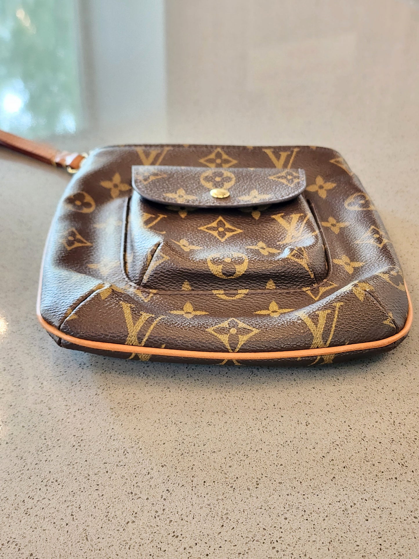 LOUIS VUITTON Monogram Partition Wristlet